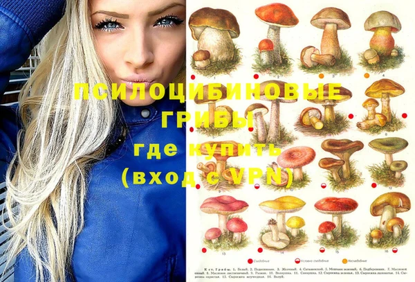 МДПВ Бронницы