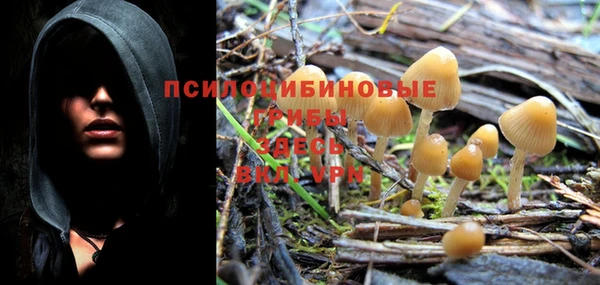амф Бугульма