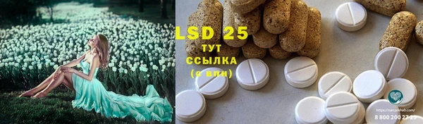 амф Бугульма